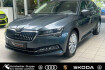 Skoda Superb Style combi style 2.0 tdi dsg 4×4 ahk navi pdc