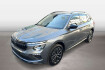 Skoda Kamiq Selection selection 1.0 tsi dsg led ruckfahrkamera einpar?