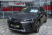Lexus UX Style Ux 250h ux 250 h style edition zuverlassiger crossover