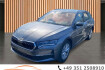 Skoda Octavia Autres 2.0 tdi dsg selection*dab*sideassist