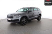 Skoda Kodiaq Ambition 2.0 tdi standhz keyless acc kamera memory