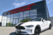Ford Mustang Fastback GT Mustang cabrio 5.0 ti vct v8 gt aut. *grail !*