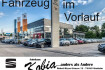 Cupra Tavascan Endurance endurance 210 kw 285 ps 77 kwh