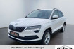 Skoda Karoq Ambition ambition 1.6 tdi 2xklima+acc+pdc+shz+nav
