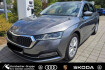 Skoda Octavia Style combi 2.0 tdi dsg style ahk navi hud