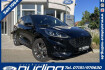 Ford Kuga ST-Line X 2.0 ecoblue aut. awd st line x acc/hud/blis
