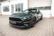 Ford Mustang Fastback Bullitt Mustang bullitt magneride  protect 07/27