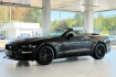 Ford Mustang Fastback GT Mustang 5.0 gt cabrio aut*magneride*premium2*b&o