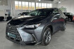 Lexus NX Autres Nx 350h *navi&kame.*leder*ahk.led