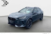 Cupra Formentor VZ Tribe Edition 1.4 e hybrid vz*led*ahk*kamera*pdc*shz