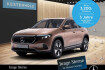Mercedes EQA Electric Art Benz eqa 250 eqa 250 *electric art*park*spur*spiegel*tempo* led