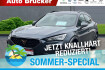 Cupra Formentor VZ vz 2.0 tsi 4drive+alufelgen+navi+klimaautomatik
