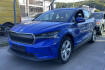 Skoda Enyaq Autres 60 lounge rcam navi spurassist acc shz led