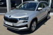 Skoda Karoq Selection selection einparkhilfe kamera lenkradhzng