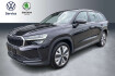 Skoda Kodiaq Selection kodiaq 2.0 tdi dsg 4×4 7 sitze leder matrix led bc