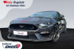 Ford Mustang Fastback Mach 1 Mustang 5.0 ti vct v8 mach1 ? led*navi*magnaride
