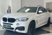BMW X6 Autres xdrive 30d m sport paket  leder  schiebedach