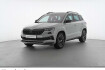 Skoda Karoq Sportline sportline tsi dsg matrix r kamera sitzhzg