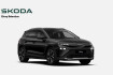 Skoda Elroq Tour selection 60 |ahk|advanced|warmepumpe|wint