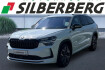 Skoda Kodiaq Selection 1.5 tsi iv hybrid #20? #acc #winter #familie