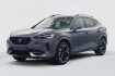 Cupra Formentor V 1.5 tsi 150 dsg v v