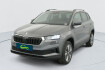 Skoda Karoq Business 2.0 tdi 116 ch scr dsg7