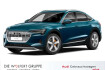 Audi e-Tron advanced E tron advanced e tron pano*360 *ahk