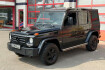 Mercedes Classe G Professional Benz g 350 d professional stahl stossstange schiebe