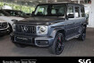Mercedes G63 AMG Autres Benz g 63 amg g 63 m led+360 +comand+totwink+night