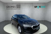 Skoda Octavia Autres combi selection dsg led sperrdiff. apple carplay a