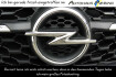Opel Movano Autres 3 5 tonnen l3h2 bluehdi 180 verstarkt