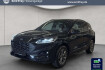 Ford Kuga Vignale 2.5 duratec plug in hybrid phev st line x (eu