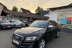 Audi SQ5 Autres Sq5 3.0 tdi dsg quattro/pano dach/kamera/tempoma