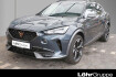 Cupra Formentor VZ 2.0 tsi dsg vz 19? cam360 sh sideassist full link