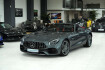 Mercedes AMG GT Autres benz amg gt  benz amg gt roadster*perf abgas*kamera*excl nappa*led