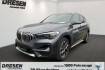 BMW X1 xLine xdrive 20d xline park assistent hud navi memory si