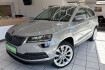 Skoda Karoq Style style 2.0 tdi/dsg/116 ps/shz/led/cam