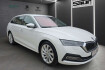 Skoda Octavia Style combi style 2.0 tdi dsg ahk ruckfahrkamera shz kli