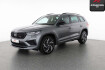Skoda Kodiaq RS rs 2.0 tsi 4×4 matrix parklenk totwinkel