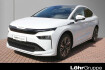 Skoda Enyaq L coupe 85 loft 20?acc navi pano stizheizung