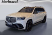 Mercedes Mercedes Benz Others  benz others  benz autres +standheizung+hud+pano+driverspackage+