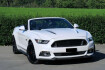 Ford Mustang Fastback GT Mustang gt convertible