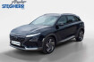 Hyundai Nexo Autres basis wasserstoff  leder