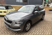 Skoda Kamiq Essence essence *shz*ahk*