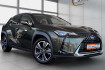 Lexus UX Luxury Ux 250h 4wd luxury/mark levinson/ahk/matrix/acc/hud