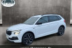 Skoda Kamiq Tour 1.5 tsi act 110kw eu6e tour 7 gang dsg  led  fahre