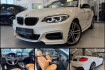 BMW Série 2 Coupé Autres Bmw 240  240 cabrio|h/k|drivingas.|bmw service|garantie
