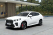 BMW X2 Autres xdrive20d m sport pro ahk vorfuhrwagenaktion