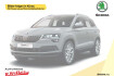 Skoda Elroq Sportline 85 sportline  »ahk klappbar »navi »digitales cockp