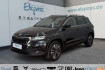 Skoda Karoq Selection selection automatik led dig display kamera sitz.h